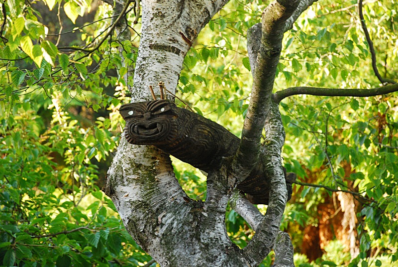 DSC_0174.JPG