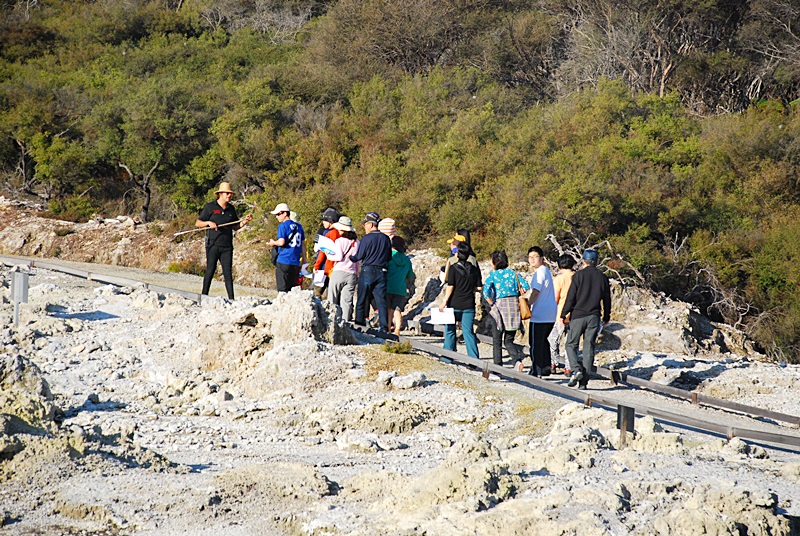 DSC_0137.JPG