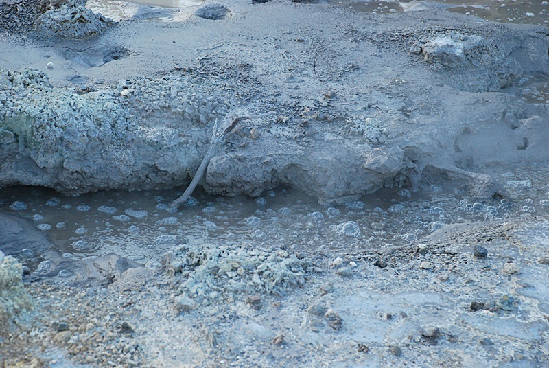 DSC_0213.JPG