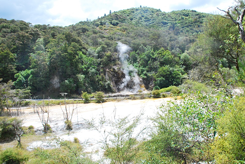 DSC_0463.JPG