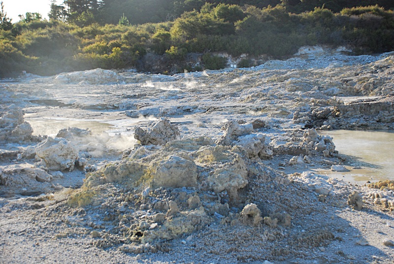 DSC_0139.JPG