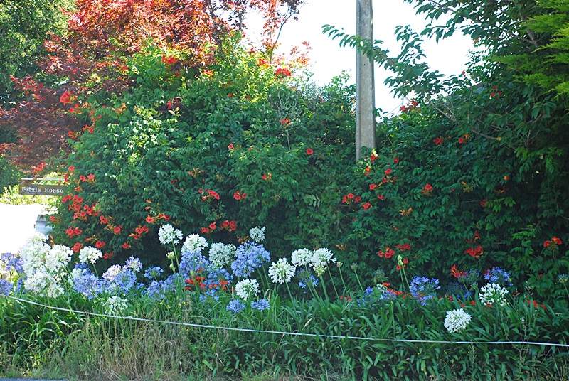 DSC_0081.JPG