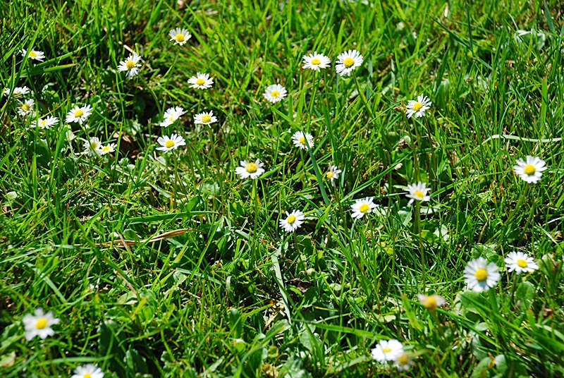 DSC_0096.JPG