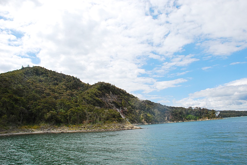 DSC_0500.JPG