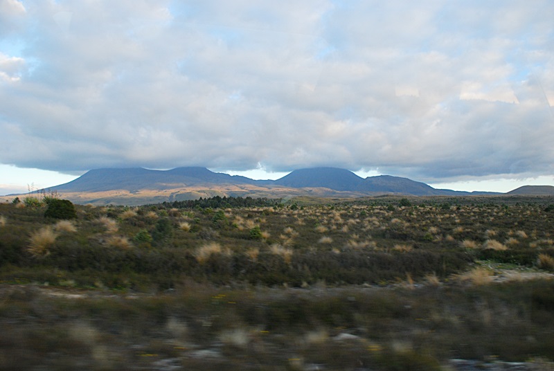 DSC_0603.JPG