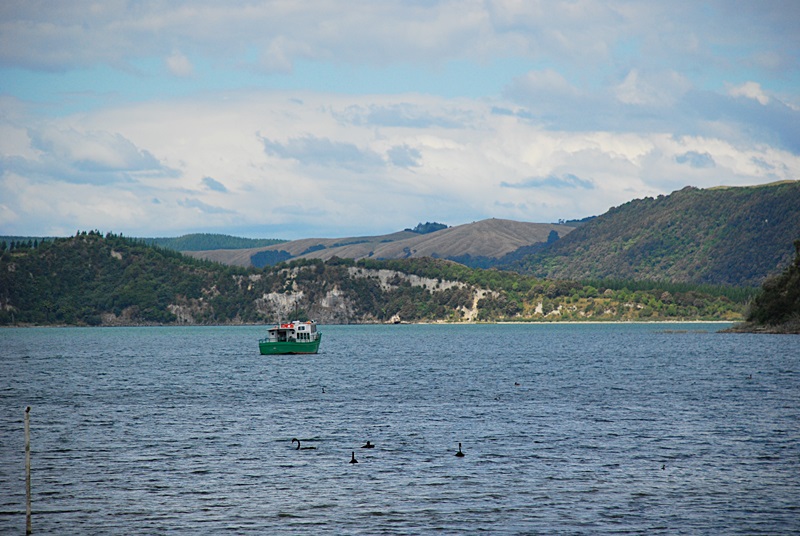 DSC_0566.JPG