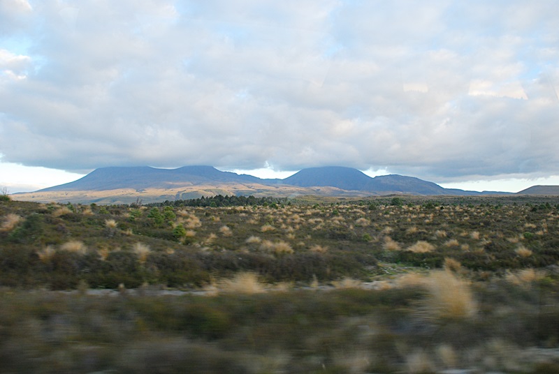 DSC_0604.JPG