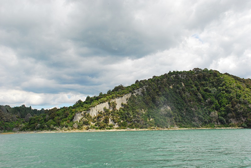DSC_0493.JPG
