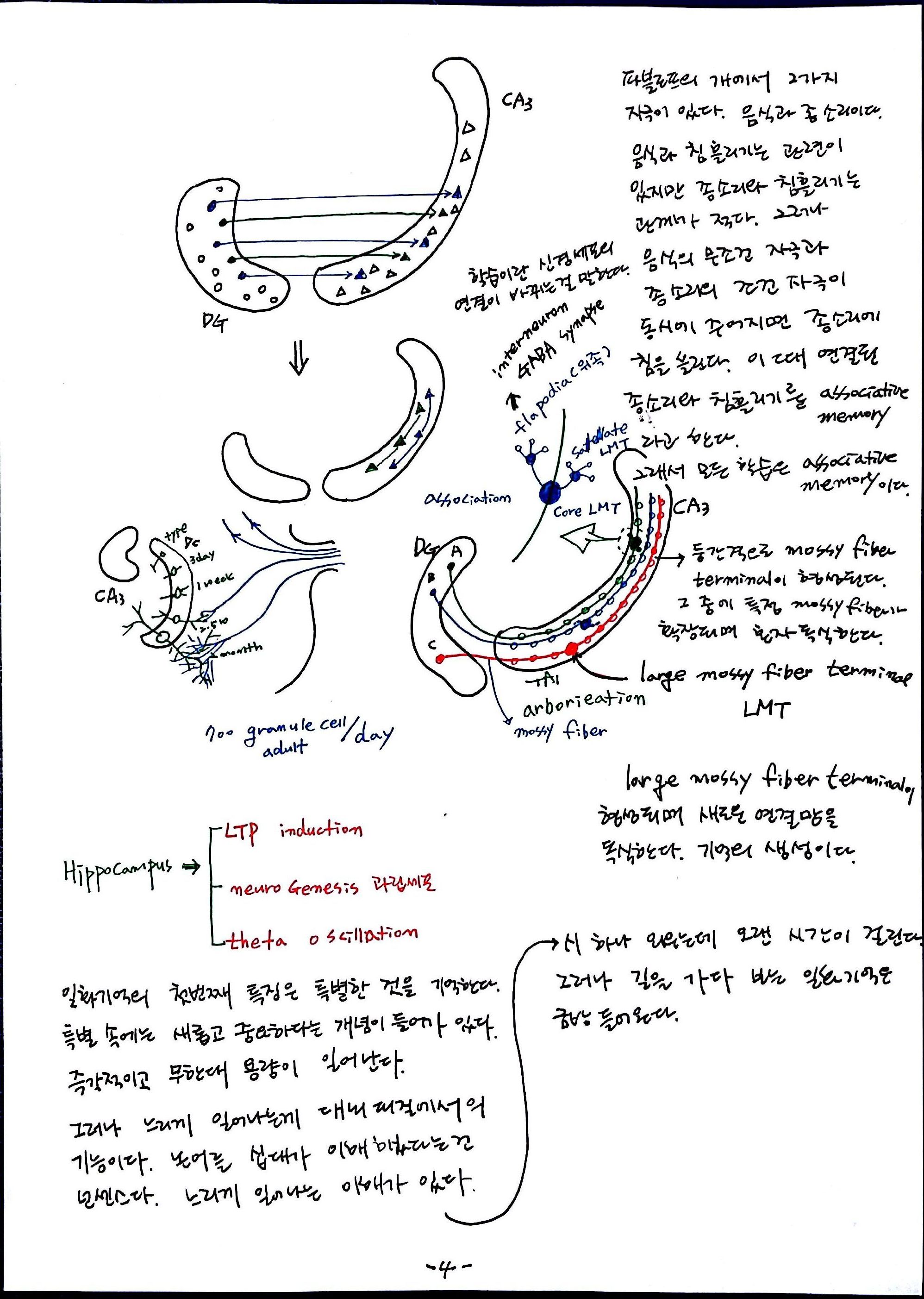 제 6회 특별한 뇌과학 8강 기억Ⅱ (4).jpg