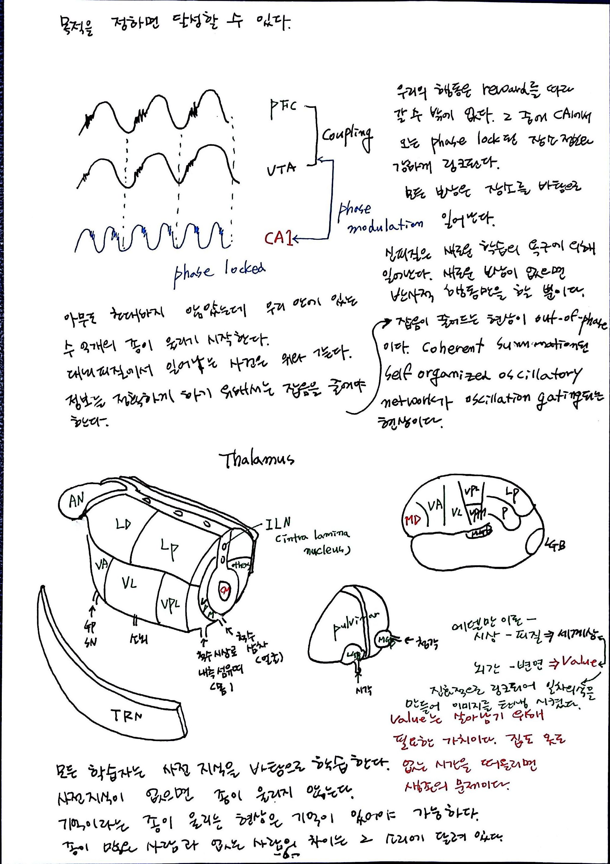 제 6회 특별한 뇌과학 8강 기억Ⅱ (6).jpg