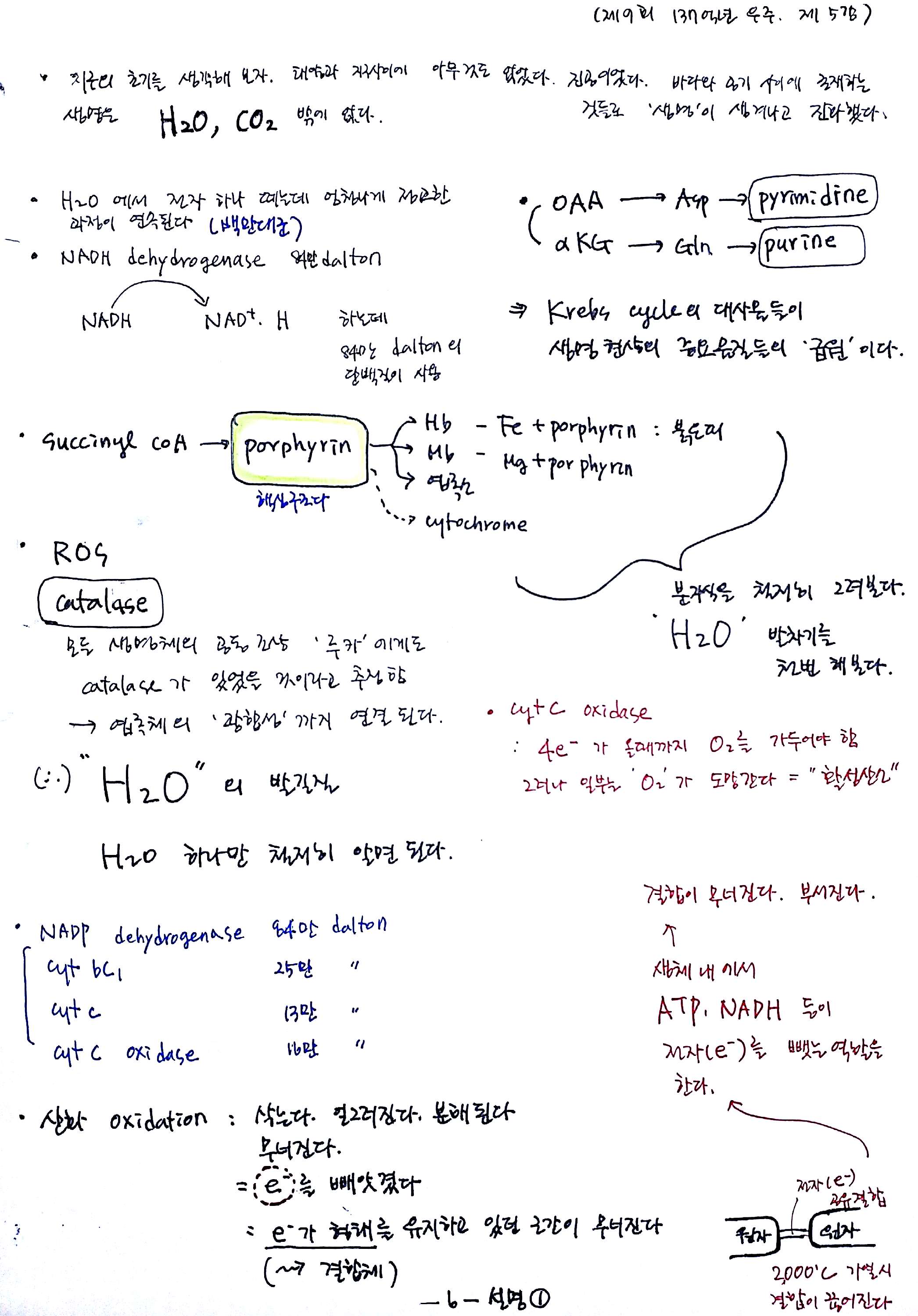 20170528-137-5강_9.jpg