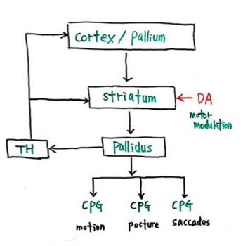 CPG _2.JPG