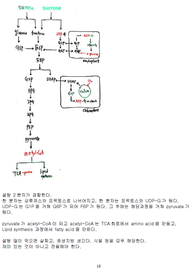 ScreenClip 18.png