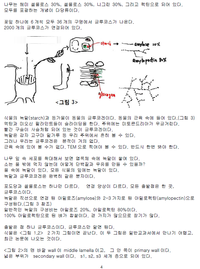 ScreenClip 04.png
