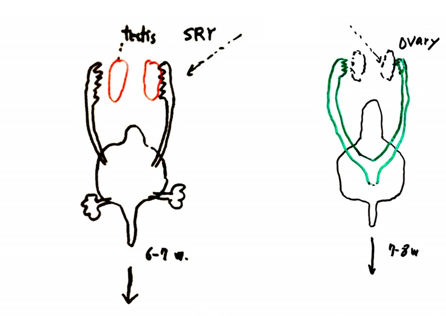 그림15.jpg