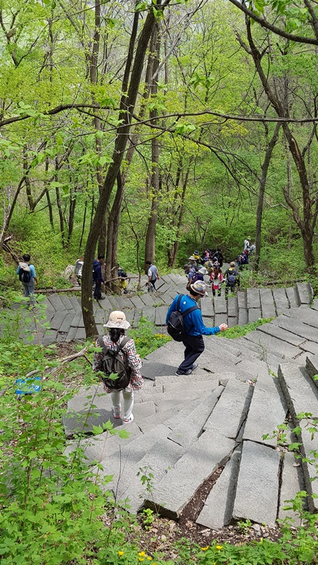 20170505_111446-20170510-112234.jpg