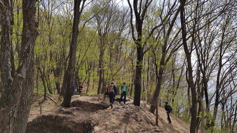 20170505_102237-20170510-112224.jpg