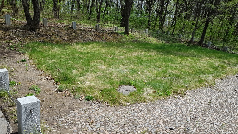 20170505_100857-20170510-112215.jpg