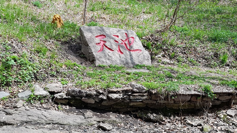20170505_101736-20170510-112220.jpg