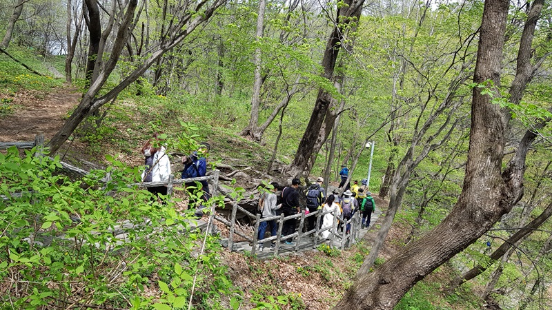 20170505_105818-20170510-112229.jpg