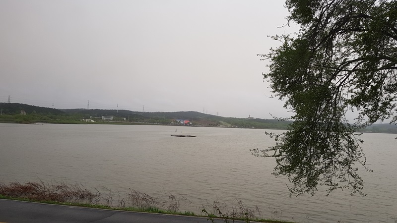 20170505_171028-20170510-112248.jpg
