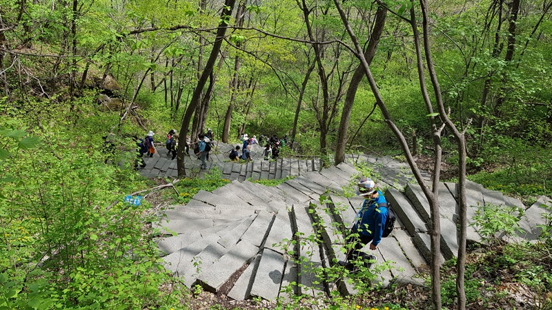 20170505_111433-20170510-112233.jpg
