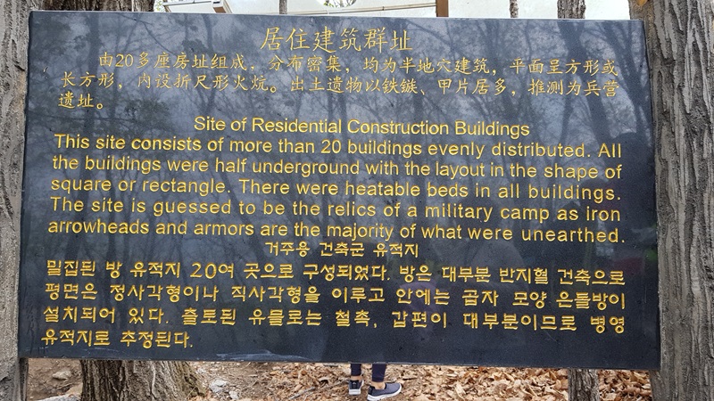 20170505_102628-20170510-112226.jpg