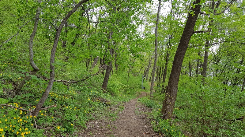20170505_112833-20170510-112236.jpg