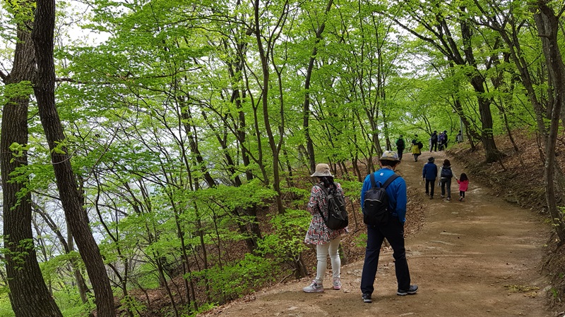 20170505_113501-20170510-112237.jpg