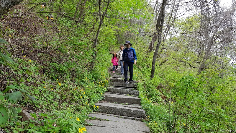20170505_111234-20170510-112233.jpg