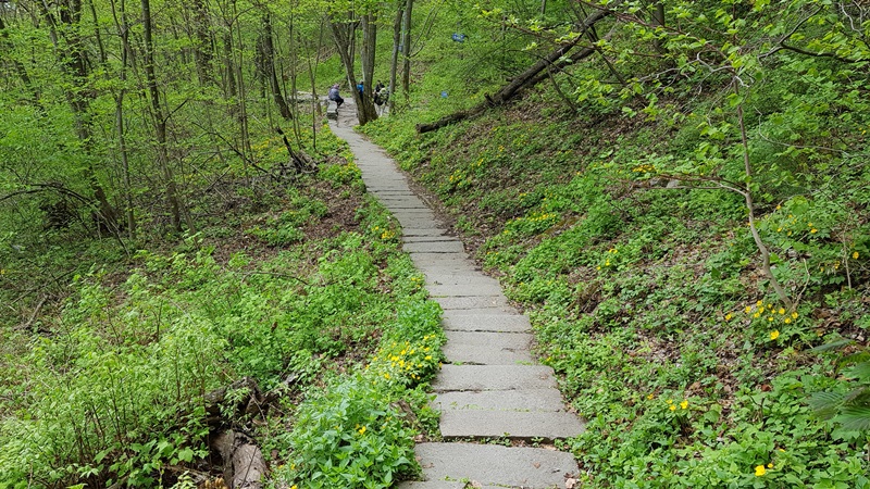 20170505_111219-20170510-112232.jpg
