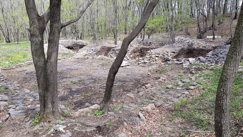 20170505_102413-20170510-112225.jpg