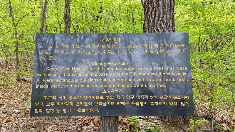 20170505_113456-20170510-112237.jpg