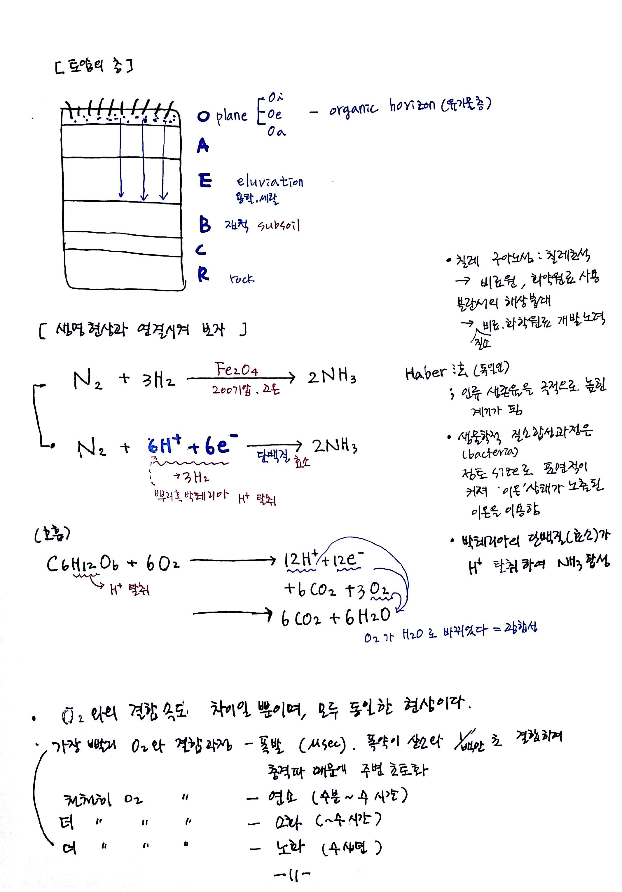 새 파일 2017-05-14_11.jpg