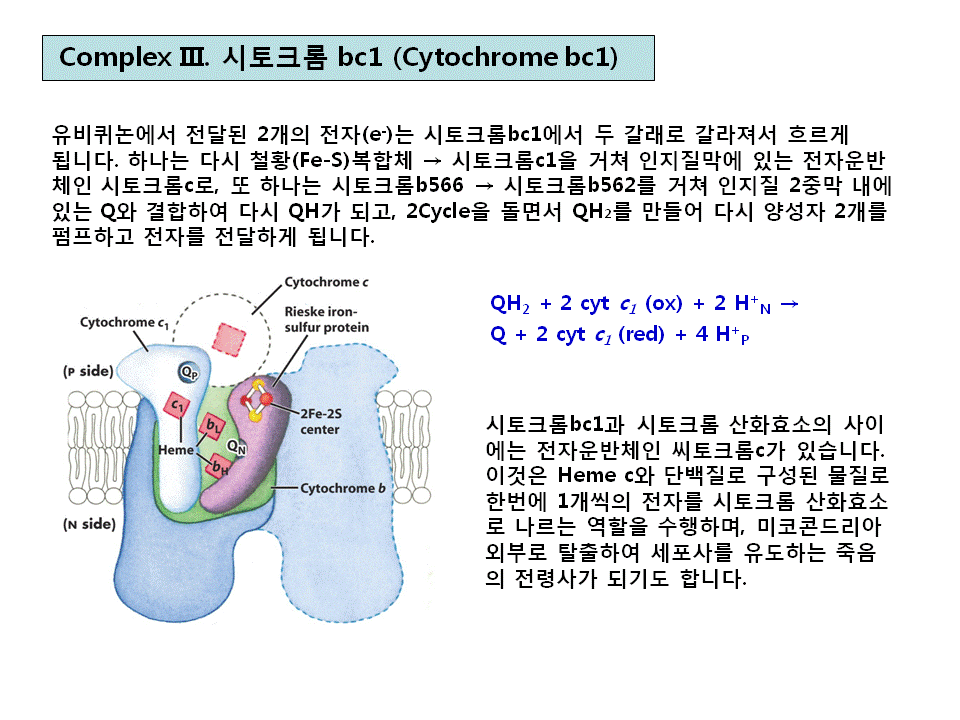 슬라이드34.GIF