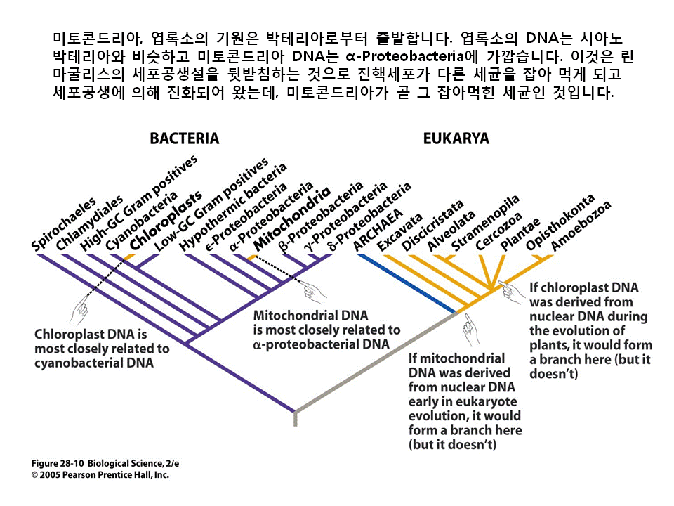 슬라이드50.GIF