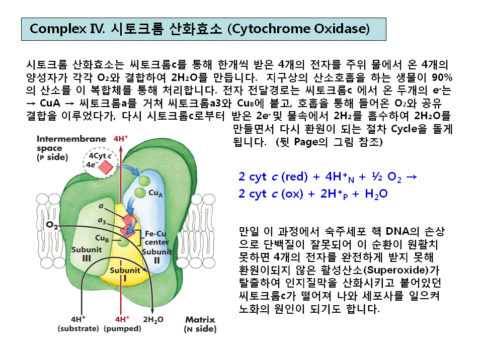 슬라이드36.GIF