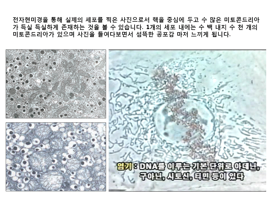 슬라이드17.GIF