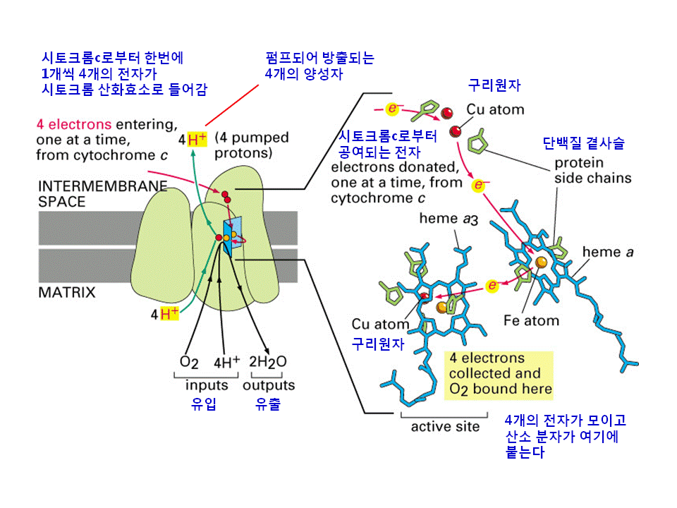 슬라이드38.GIF