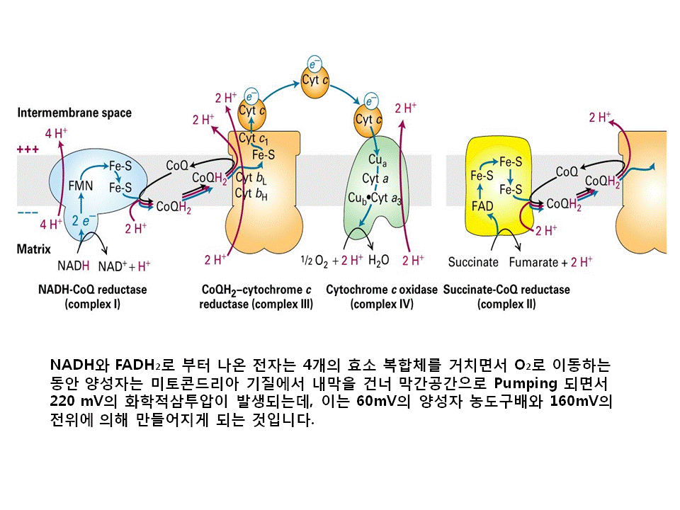 슬라이드33.GIF