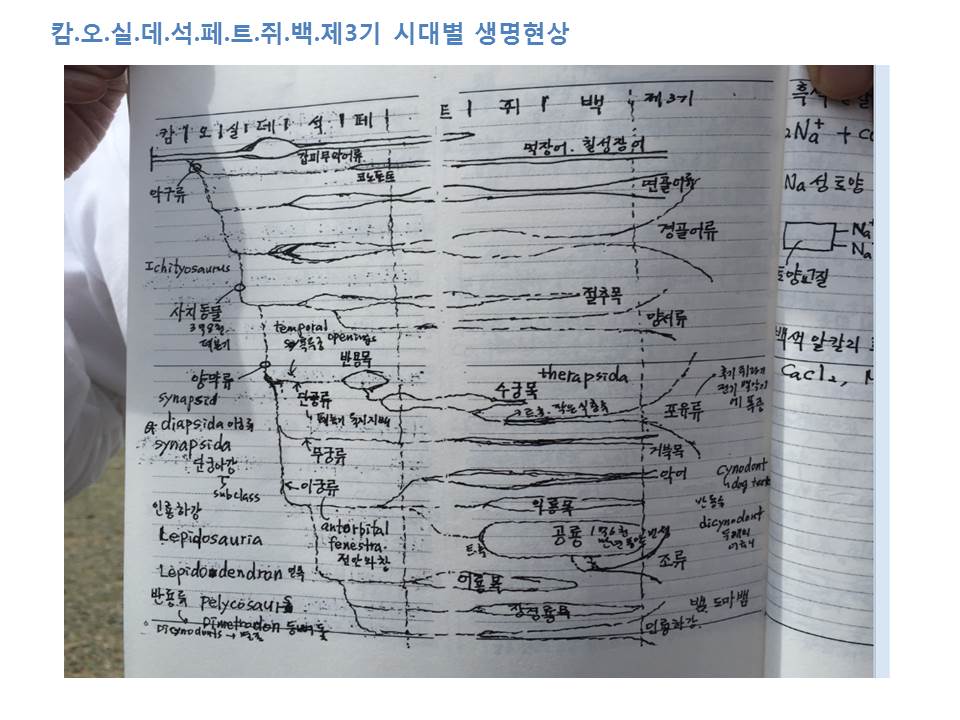 슬라이드37.JPG