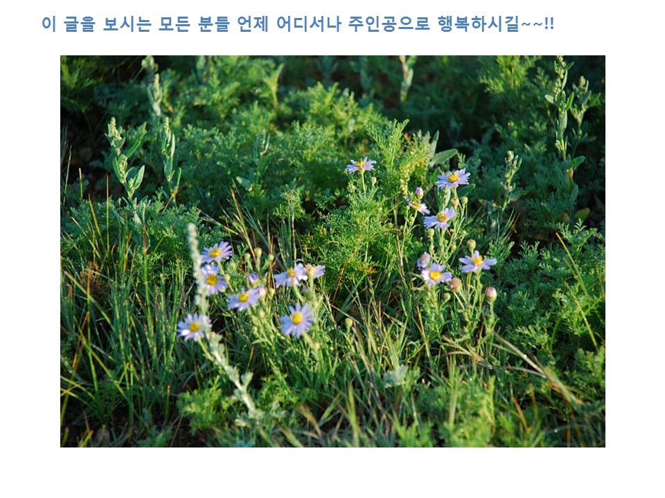 슬라이드33.JPG