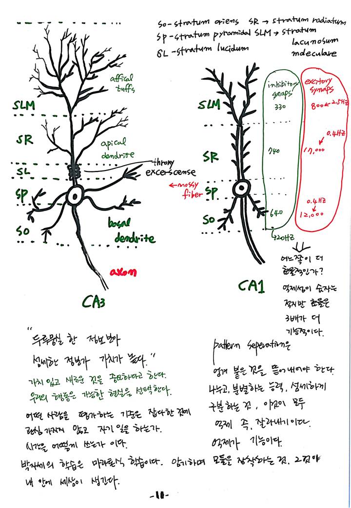 슬라이드11.JPG