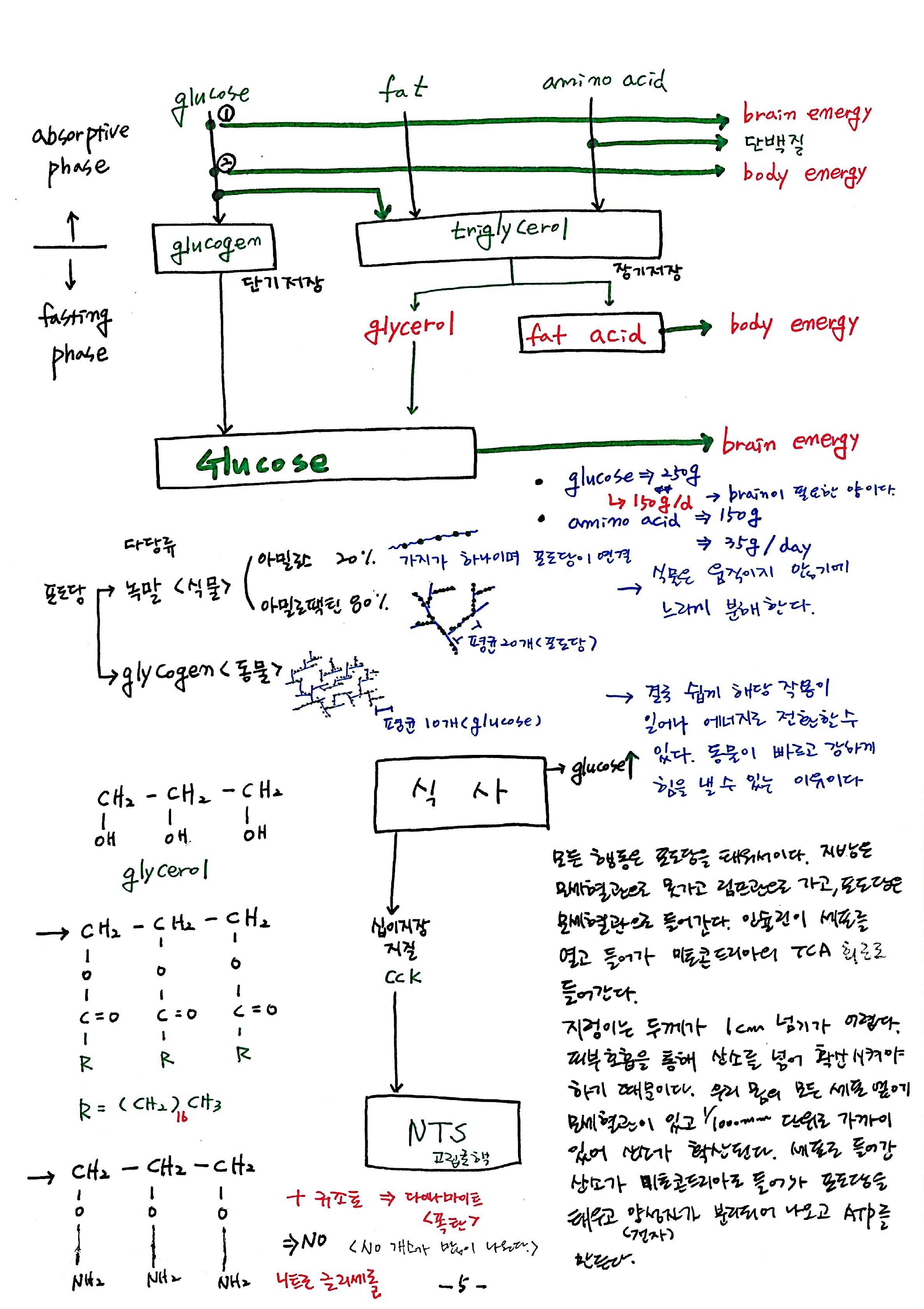 노트 제 7회 특별한 뇌과학 7강 시상하부, 식욕 5.jpg
