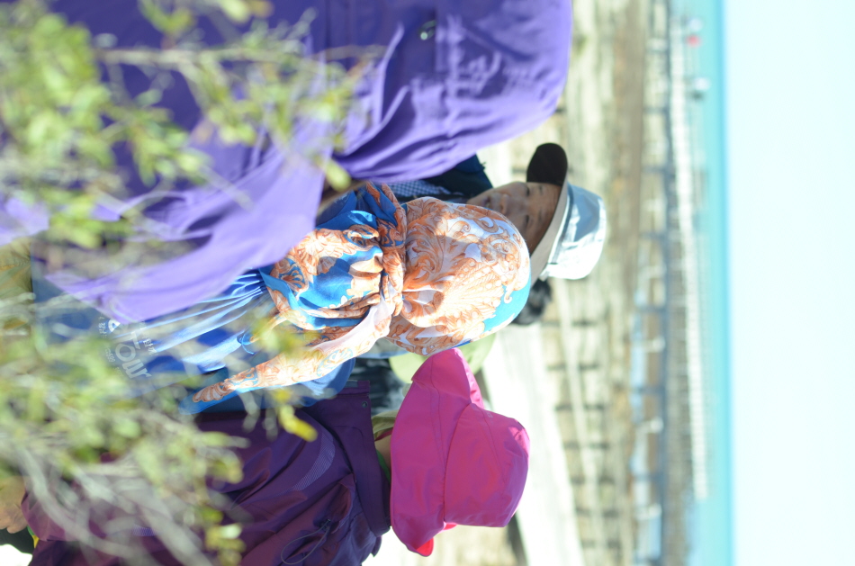 VTK_3030.JPG