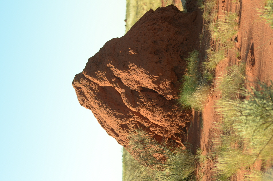 VTK_3107.JPG