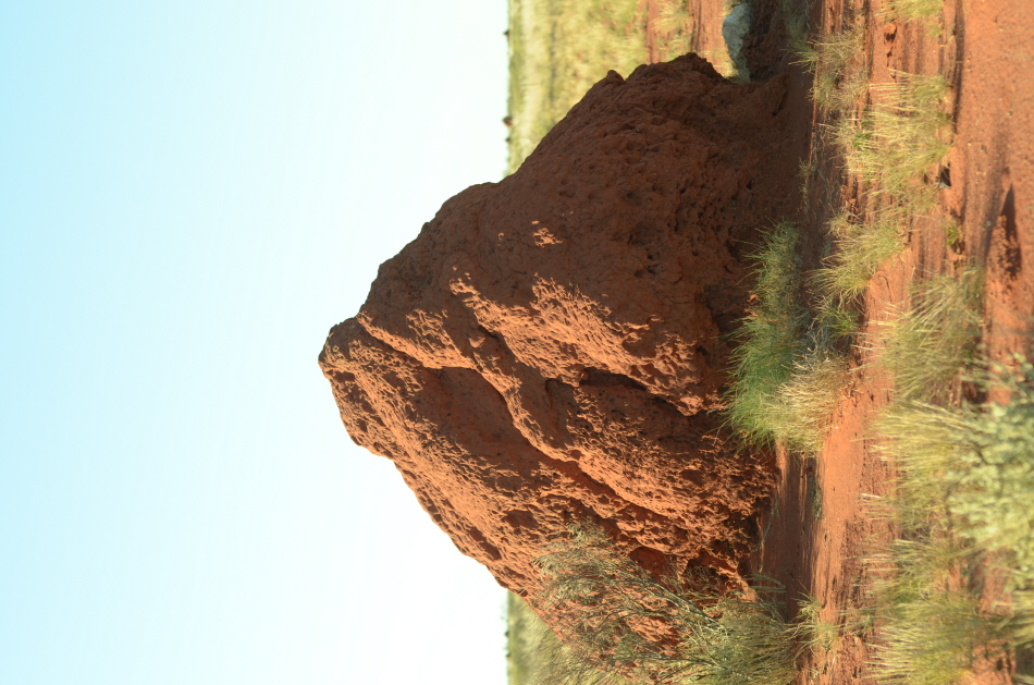 VTK_3106.JPG