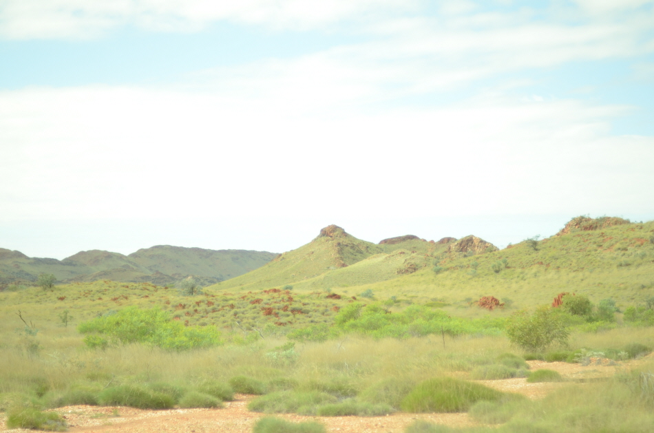 VTK_3380.JPG
