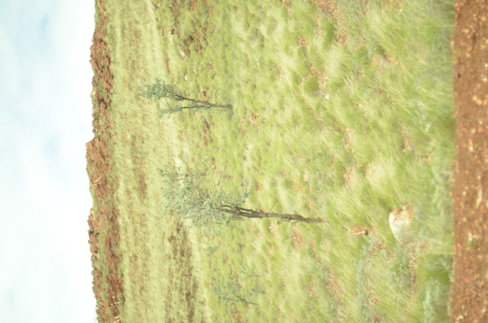 VTK_3362.JPG