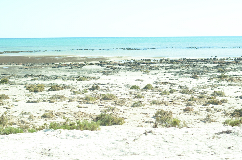 VTK_3024.JPG